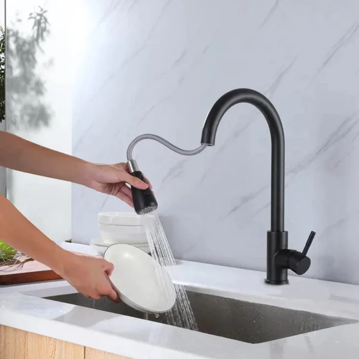 Zaivi Flora SS-304 Pull Out Tap (Matt Black) main